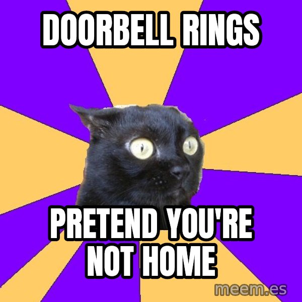 Anxiety Cat meme: DOORBELL RINGS / PRETEND YOU'RE NOT HOME