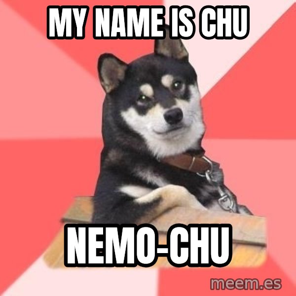 Cool Dog meme: My name is chu / nemo-chu