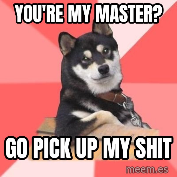 Cool Dog meme: You're my master? / Go pick up my shit