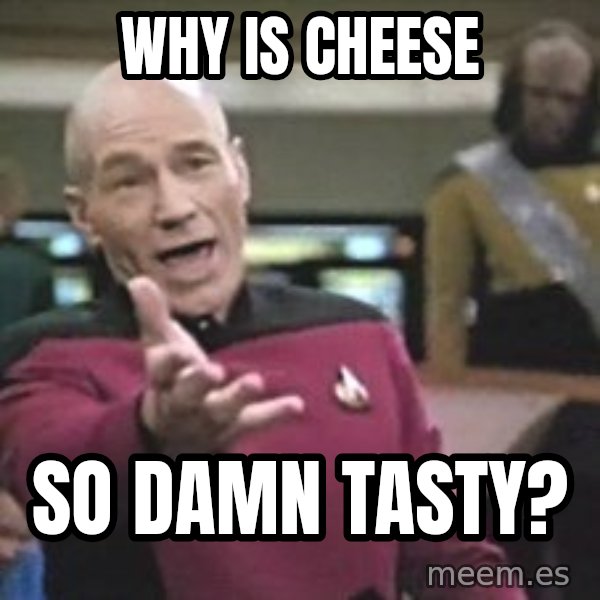 Captain Picard meme: why is cheese / so damn tasty?
