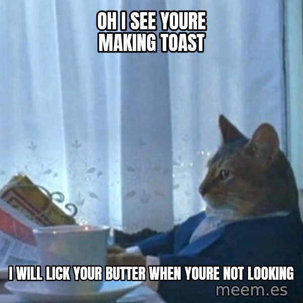 newspaper cat realization meme: oH i SEE YOURE MAKING TOAST / i WILL LICK YOUR BUTTER WHEN YOURE NOT LOOKING