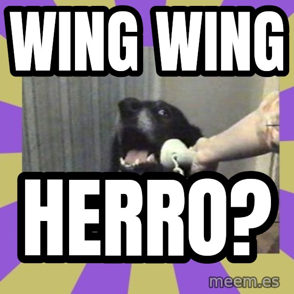 Yes, this is dog! meme: WING WING / HERRO?