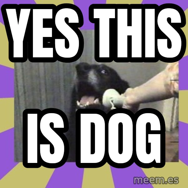 Yes, this is dog! meme: YES THIS / IS DOG