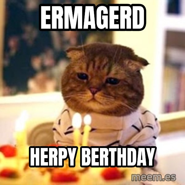 Birthday Cat meme: Ermagerd / herpy berthday