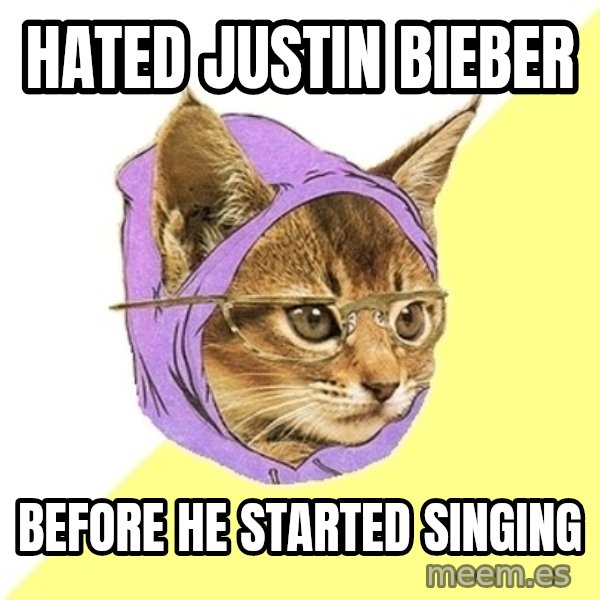 Hipster Kitty meme: Hated Justin Bieber / Before he started singing