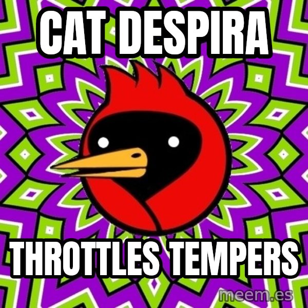 Omsk Crow meme: Cat despira / Throttles tempers