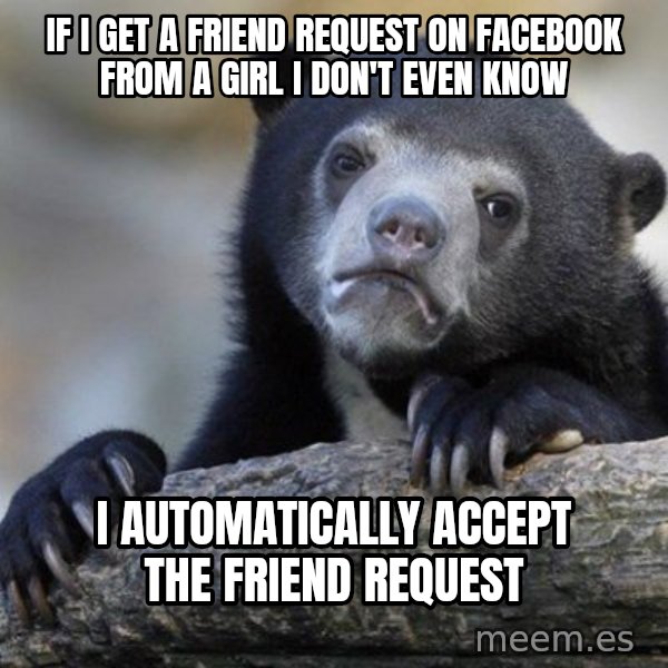 Confession Bear meme: If i get a friend request on facebook from a girl i don't even know / I automatically accept the friend request