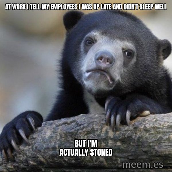 Confession Bear meme: At work I tell my employees I was up late and didn't sleep well / but I'm actually stoned