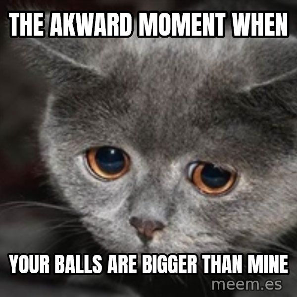 Sadcat meme: the akward moment when / YOUR BALLS ARE BIGGER THAN MINE