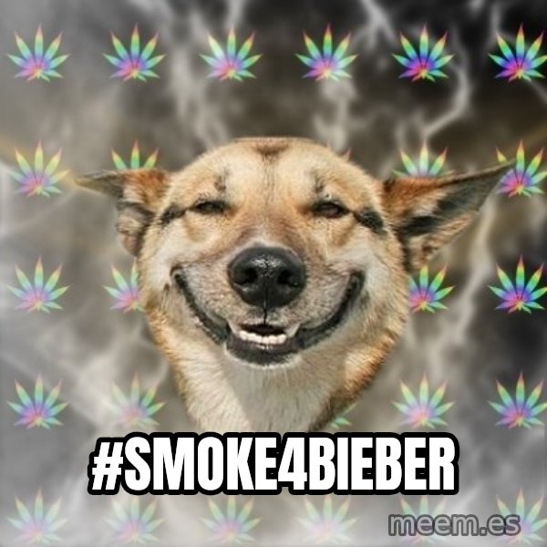 Stoner Dog meme: #smoke4bieber