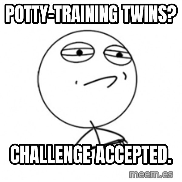 Challenge Accepted meme: Potty-training twins? / Challenge accepted.