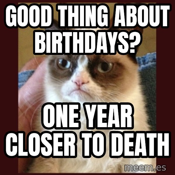 Grumpy Cat  meme: good thing about birthdays? / one year closer to death