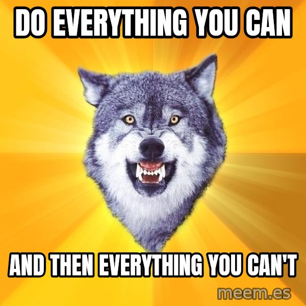 Courage Wolf meme: DO EVERYTHING YOU CAN / AND THEN EVERYTHING YOU CAN'T