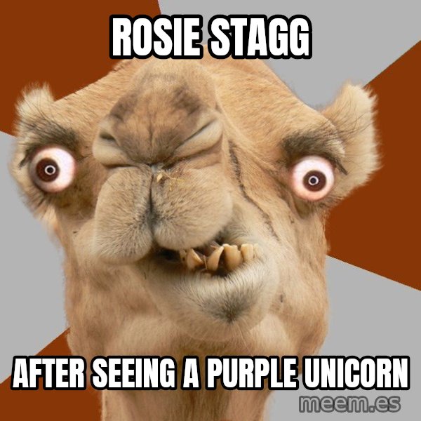 Crazy Camel lol meme: ROSIE STAGG / AFTER SEEING A PURPLE UNICORN