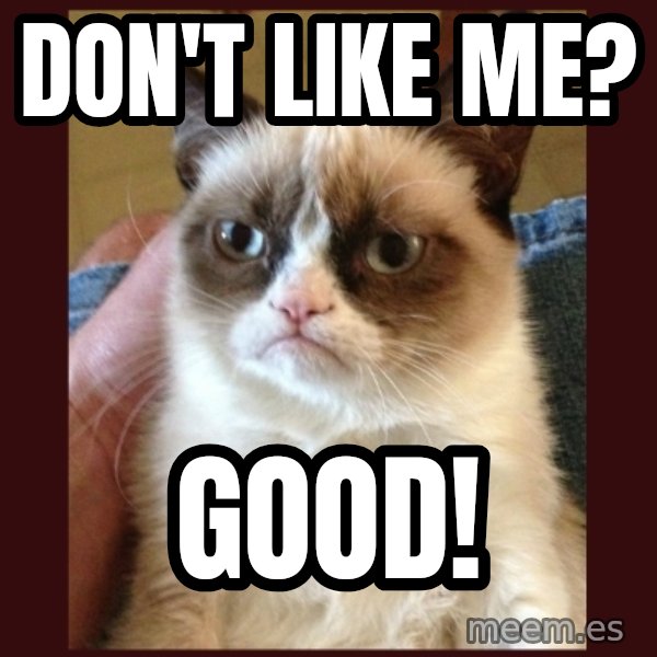 Grumpy Cat  meme: Don't like me? / Good!