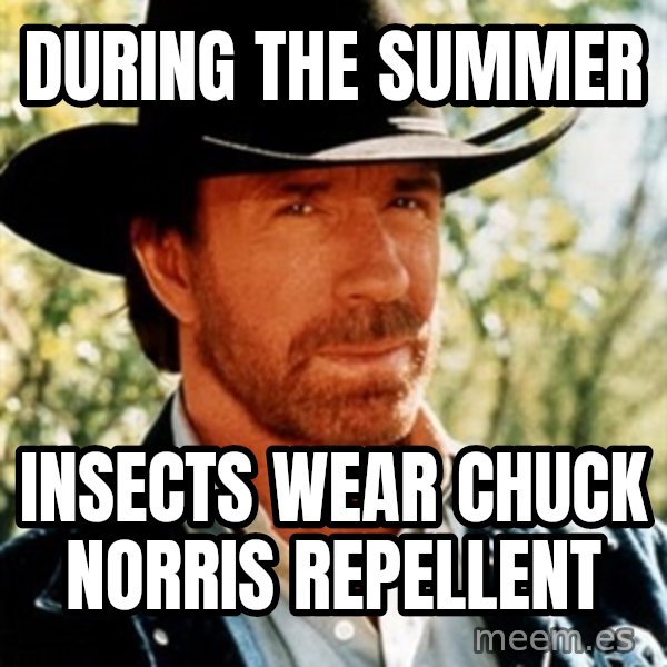 Chuck Norris  meme: during the summer / insects wear chuck norris repellent
