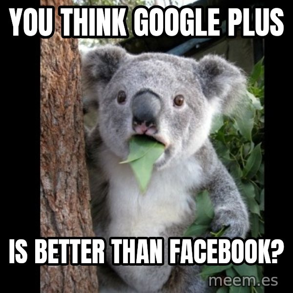 Koala can't believe it meme: you think google plus / is better than facebook?