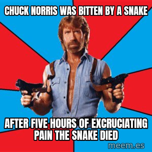 Chuck Norris  meme: CHUCK NORRIS WAS BITTEN BY A SNAKE / AFTER FIVE HOURS OF EXCRUCIATING PAIN THE SNAKE DIED