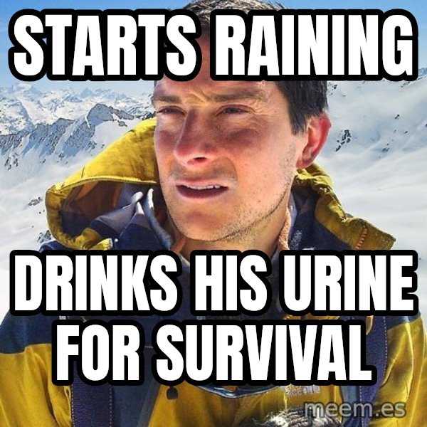 Bear Grylls meme: Starts Raining / Drinks his Urine For survival