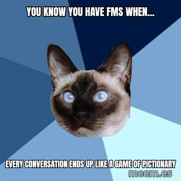 Chronic Illness Cat meme: you know you have fms when... / every conversation ends up like a game of pictionary