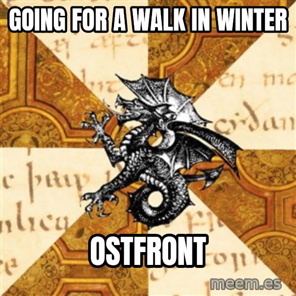 History Major Heraldic Beast meme: Going For a walk in winter / Ostfront