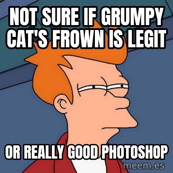 Futurama Fry meme: not sure if grumpy cat's frown is legit / or really good photoshop