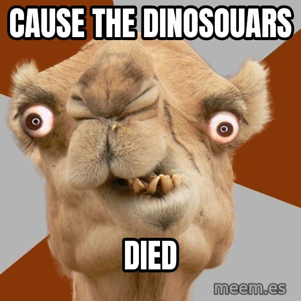 Crazy Camel lol meme: cause the dinosouars / died