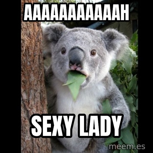 Koala can't believe it meme: aaaaaaaaaaah / sexy lady