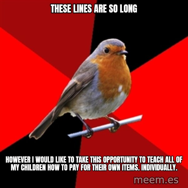 Retail Robin meme: THESE LINES ARE SO LONG / HOWEVER I WOULD LIKE TO TAKE THIS OPPORTUNITY TO TEACH ALL OF MY CHILDREN HOW TO PAY FOR THEIR OWN ITEMS. INDIVIDUALLY.