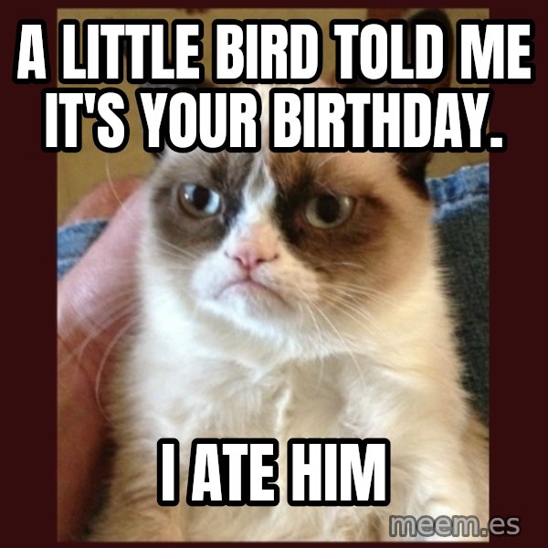 Grumpy Cat  meme: A little Bird told me it's your Birthday. / I ate him