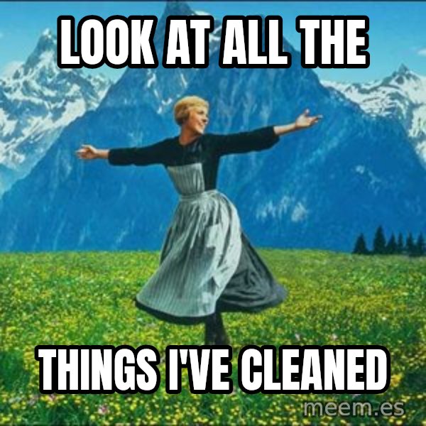 Look at all the things meme: Look at all the / things I've cleaned
