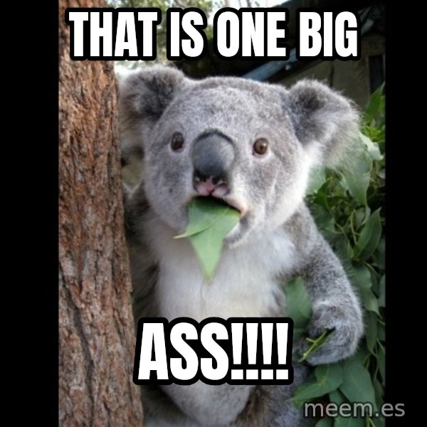 Koala can't believe it meme: that is one big / ass!!!!
