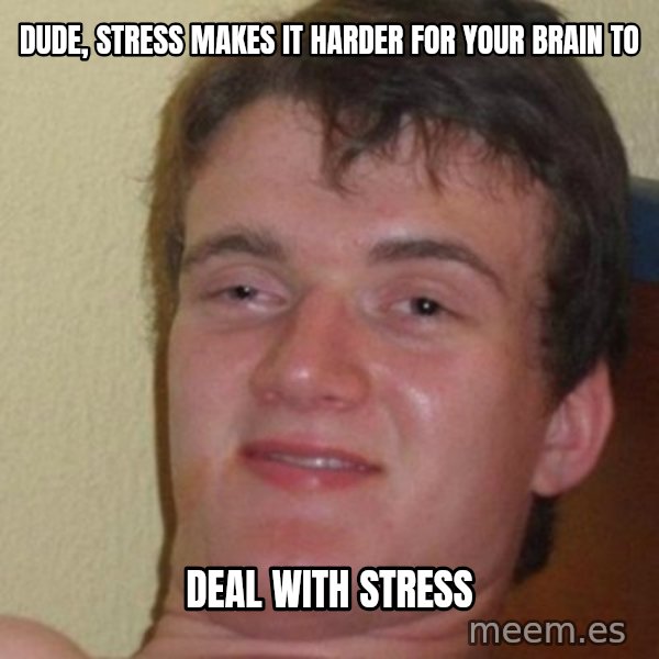 really high guy meme: Dude, stress makes it harder for your brain to / deal with stress