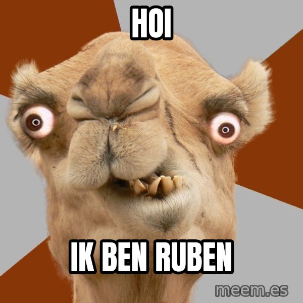 Crazy Camel lol meme: HOI / IK BEN RUBEN