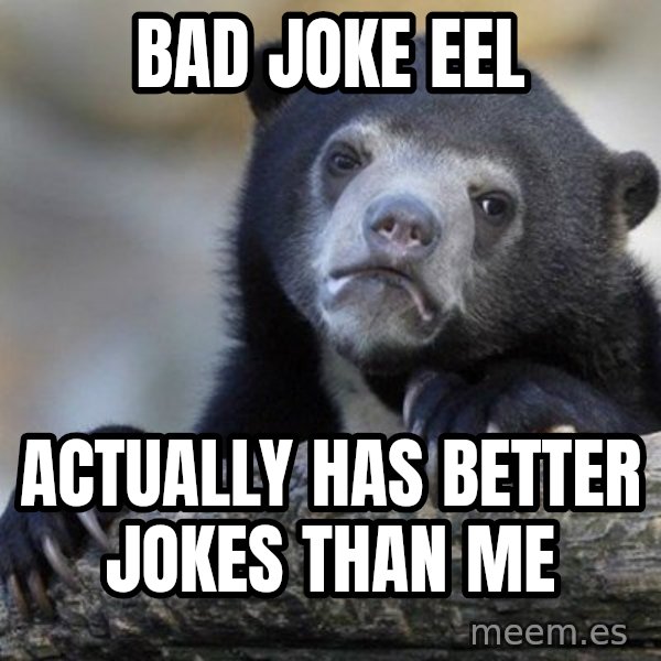 Confession Bear meme: Bad joke eel / actually has better jokes than me