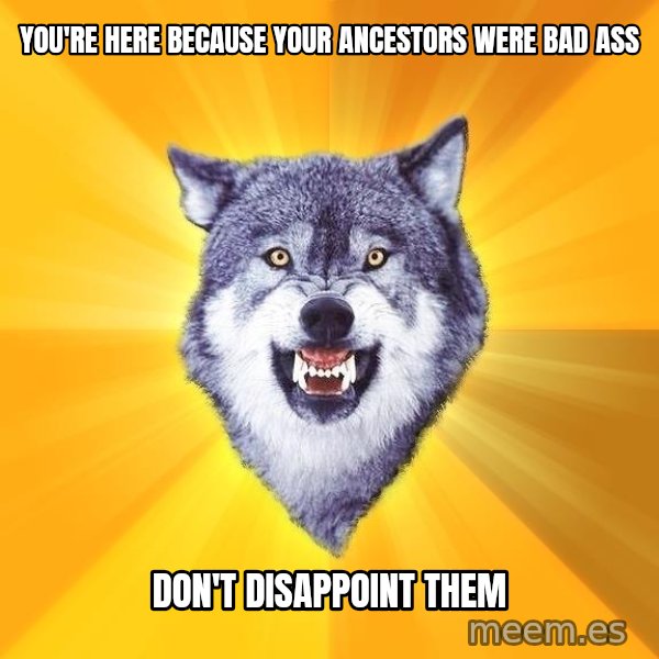 Courage Wolf meme: You're here because your ancestors were bad ass / don't DISAPPOINT them