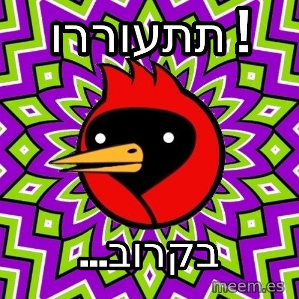 Omsk Crow meme: תתעוררו ! / ...בקרוב