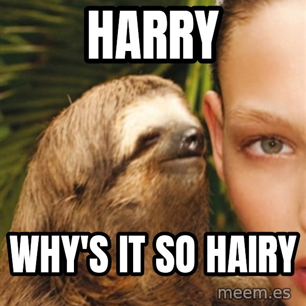 The Rape Sloth meme: HarRy / Why's it so hairy