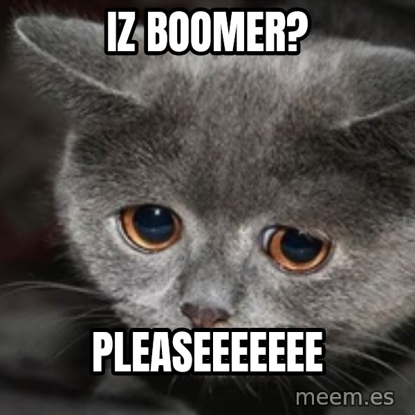 Sadcat meme: iz boomer? / Pleaseeeeeee