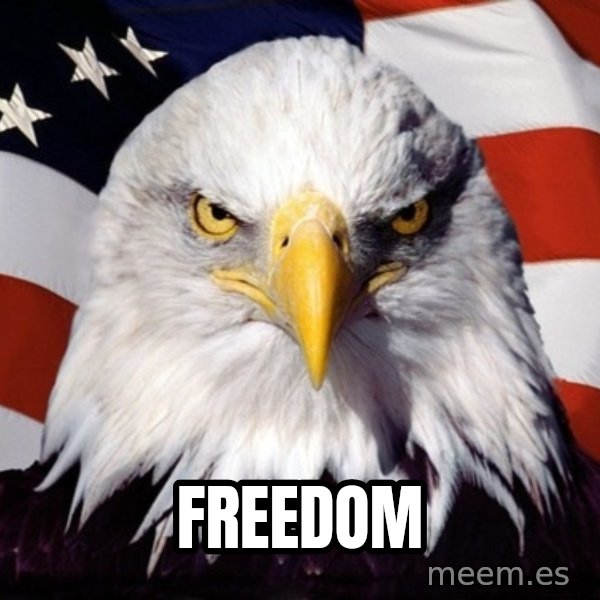 American Pride Eagle meme: Freedom
