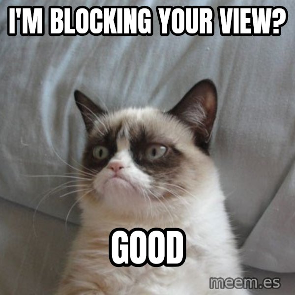 Grumpy cat good meme: I'm blocking your view? / GOOD