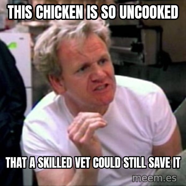 Gordon Ramsay meme: This chicken is so uncooked / That a skilled vet could still save it