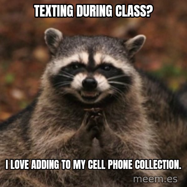 evil raccoon meme: texting during class? / i love adding to my cell phone collection.