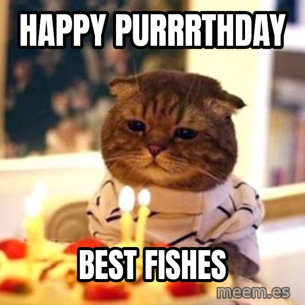 Birthday Cat meme: Happy Purrrthday / Best fishes