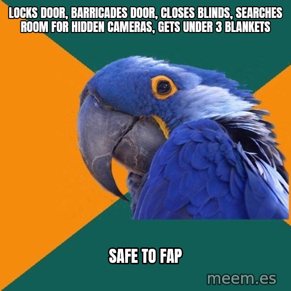 Paranoid Parrot meme: locks door, barricades door, closes blinds, searches room for hidden cameras, gets under 3 blankets / safe to fap