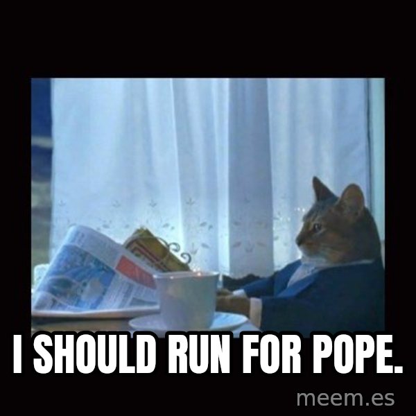i should buy a boat cat meme: I should run for pope.