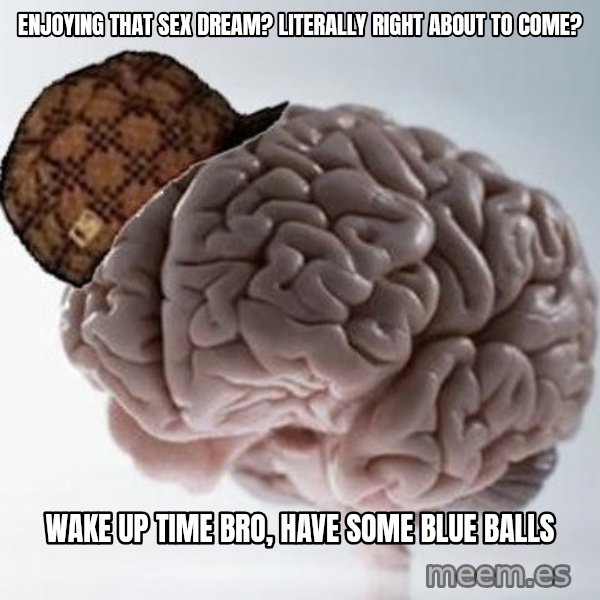Scumbag Brain meme: Enjoying that sex dream? Literally right about to come? / Wake up time bro, have some blue balls