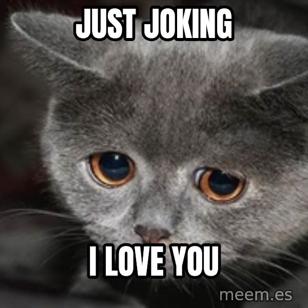 Sadcat meme: JUST JOKING / I LOVE YOU