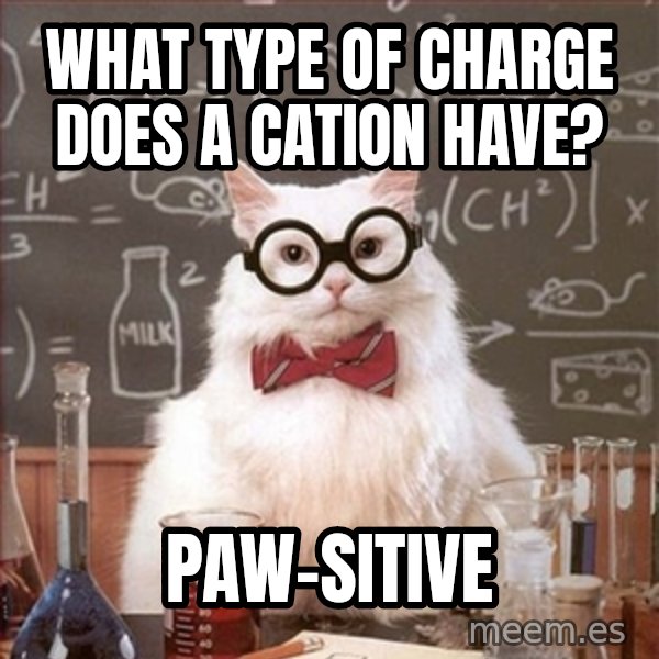 Science Cat meme: What type of charge does a Cation Have? / Paw-sitive