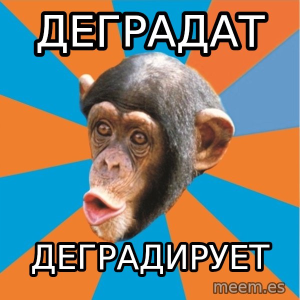 Stupid Monkey meme: Деградат / Деградирует